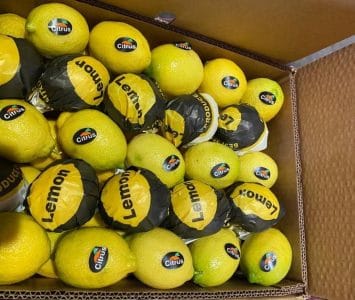Lemon -4