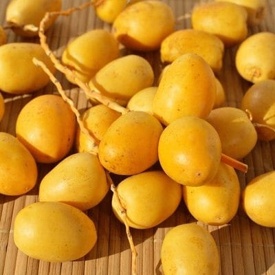 fresh-ripe-barhi-date-palm