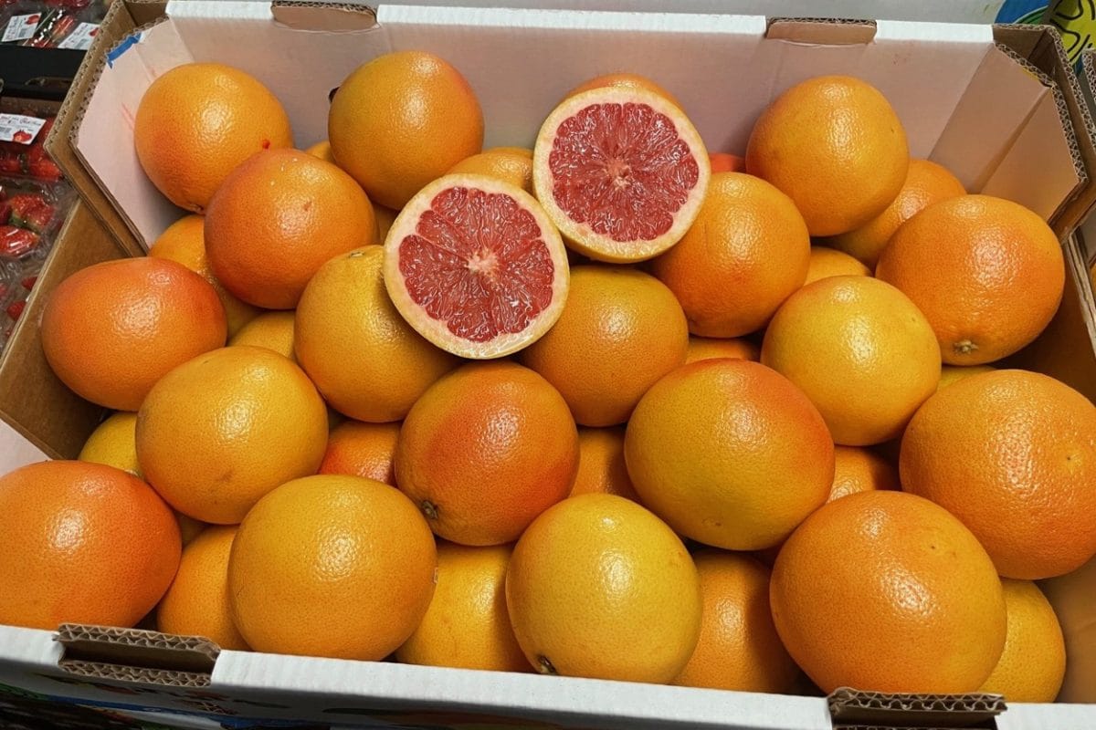 grapefruitEG